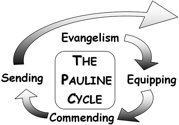 pauline-cycle